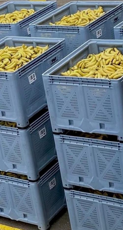 Bananenpuree van afgekeurde biologische bananen